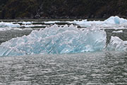 12 - San Rafael Glacier 